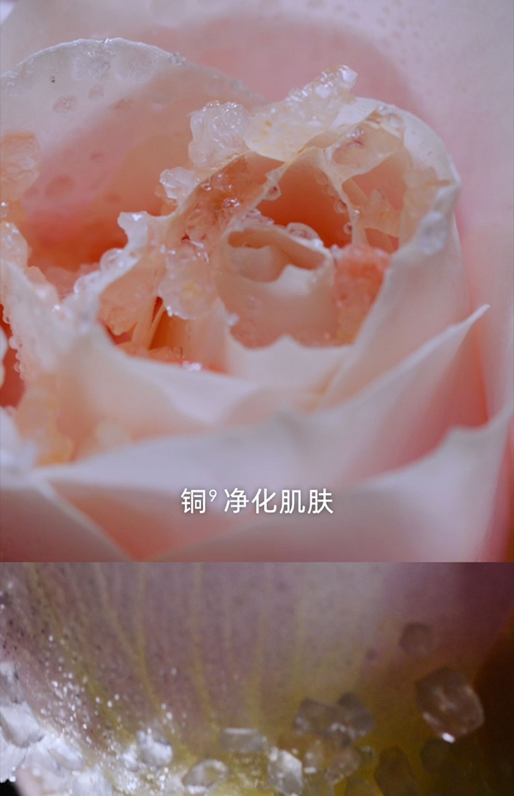 商品Dior|迪奥花秘瑰萃玫瑰微凝珠精华水150ml 2023新品,价格¥1206,第11张图片详细描述