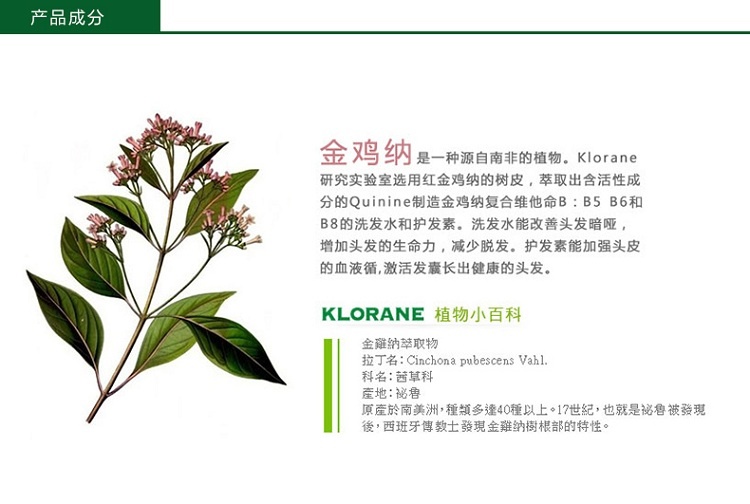 商品KLORANE|Klorane康如奎宁金鸡纳强韧护发素200ml,价格¥151,第5张图片详细描述