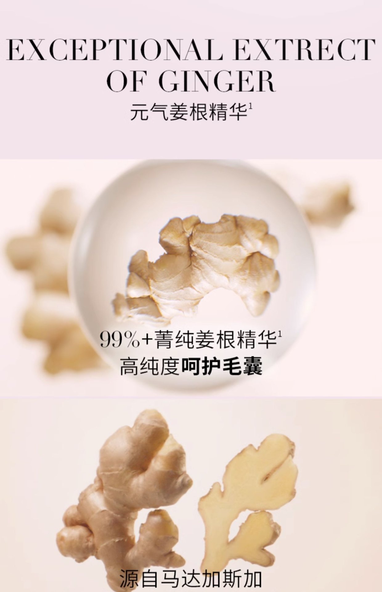 商品【原封正品】 Kérastase|Kérastase卡诗 元气姜奶瓶修护洗发露生姜洗发水 250ml/1000ml 控油蓬松 秀发强韧,价格¥58,第6张图片详细描述