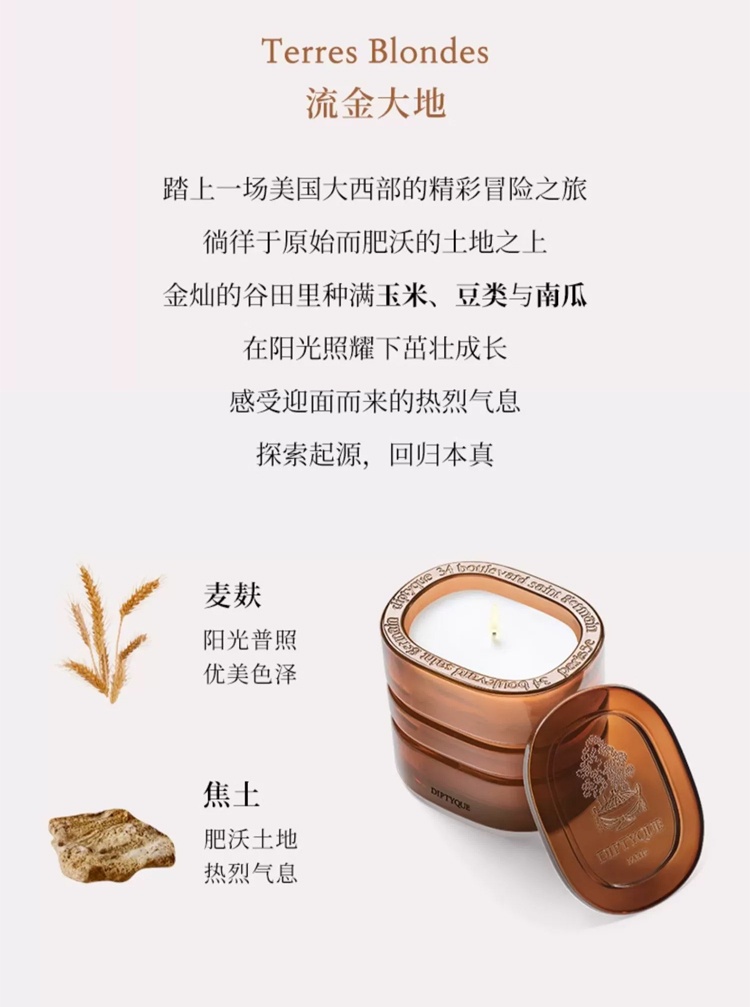商品Diptyque|Diptyque蒂普提克 大千之境香薰蜡�烛系列270g 替换芯,价格¥827,第16张图片详细描述