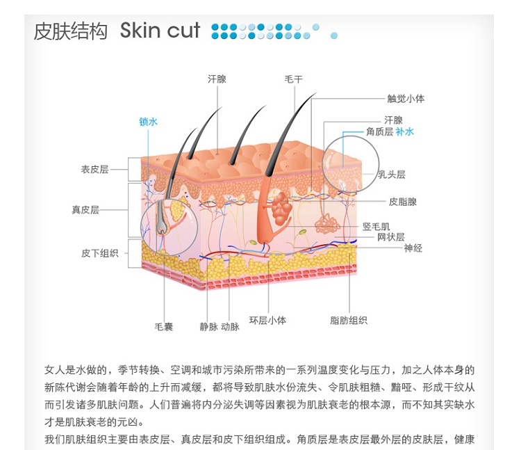 商品Bioderma|Bioderma贝德玛水润亮肤保湿面膜75ML,价格¥191,第4张图片详细描述