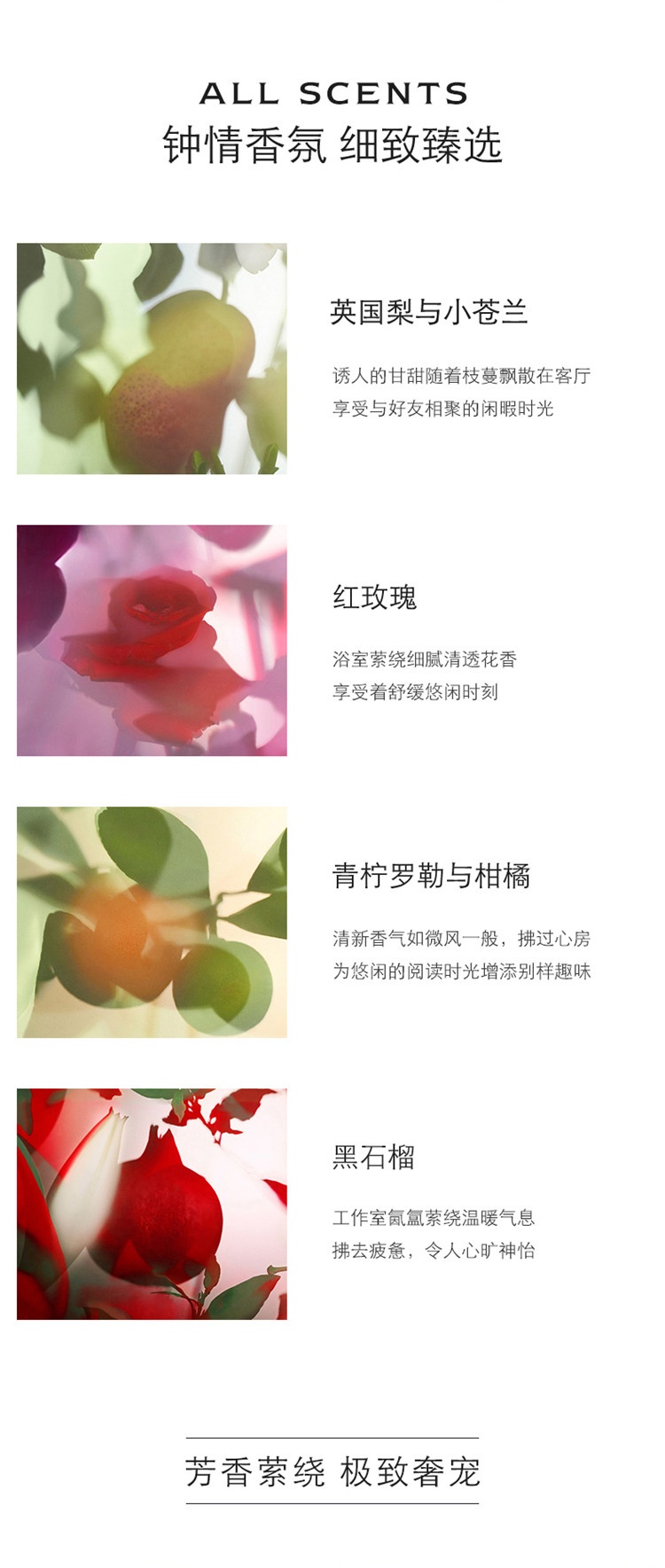 商品Jo Malone London|祖马龙青柠罗勒与柑橘满室幽香香薰165ml,价格¥410,第6张图片详细描述
