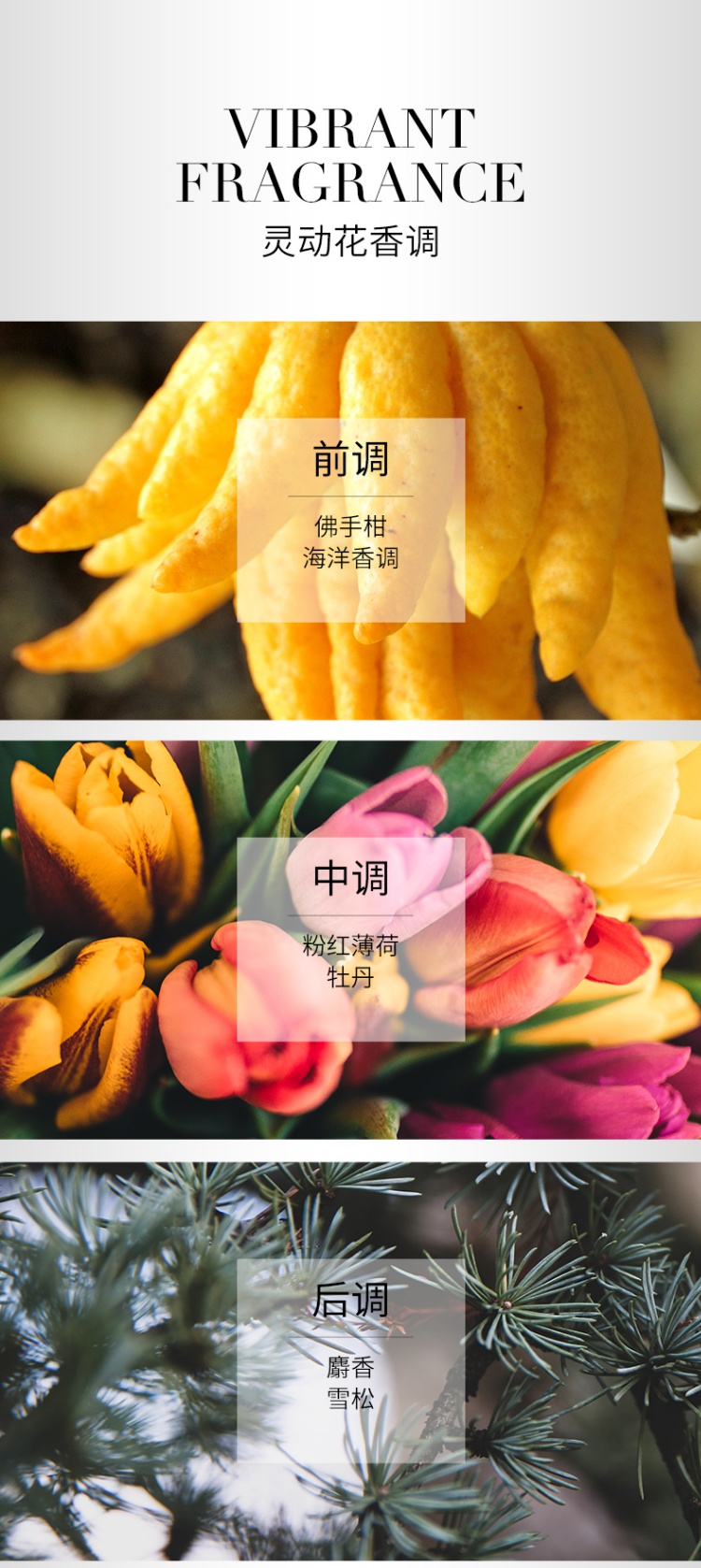 商品Kérastase|卡诗 白金赋活洗发露 无硅油洗发水 250ml 去油蓬松氨基酸,价格¥313,第6张图片详细描述