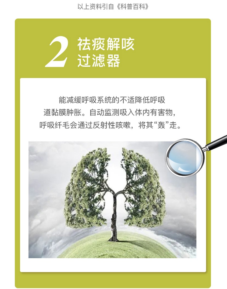 商品Healthy Care|澳大利亚直邮Healthy Care清肺片180粒HC清肺祛痰防雾霾吸烟养肺,价格¥194,第4张图片详细描述