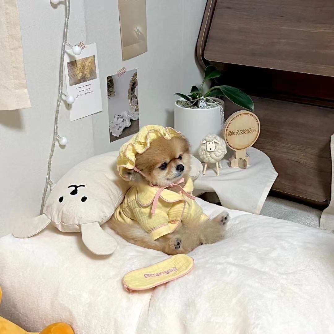 商品[国内直发] Taaffe|豌豆陪睡枕 经典纯色（20色）|Pea Pillow ,价格¥255,第17张图片详细描述
