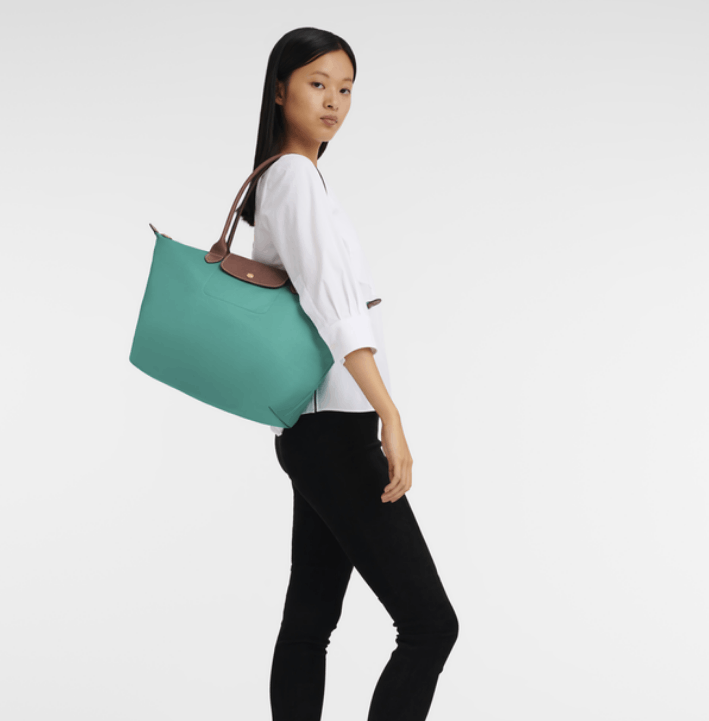 商品Longchamp|【预售6月20日左右发货】珑骧女士新色大号长柄经典饺子包手提包1899 089（香港仓发货）,价格¥1019,第24张图片详细描述
