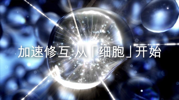 商品Estée Lauder|【两瓶】Estee Lauder雅诗兰黛第五代小棕瓶熬夜眼霜15ml紧致提拉淡纹,价格¥368,第8张图片详细描述