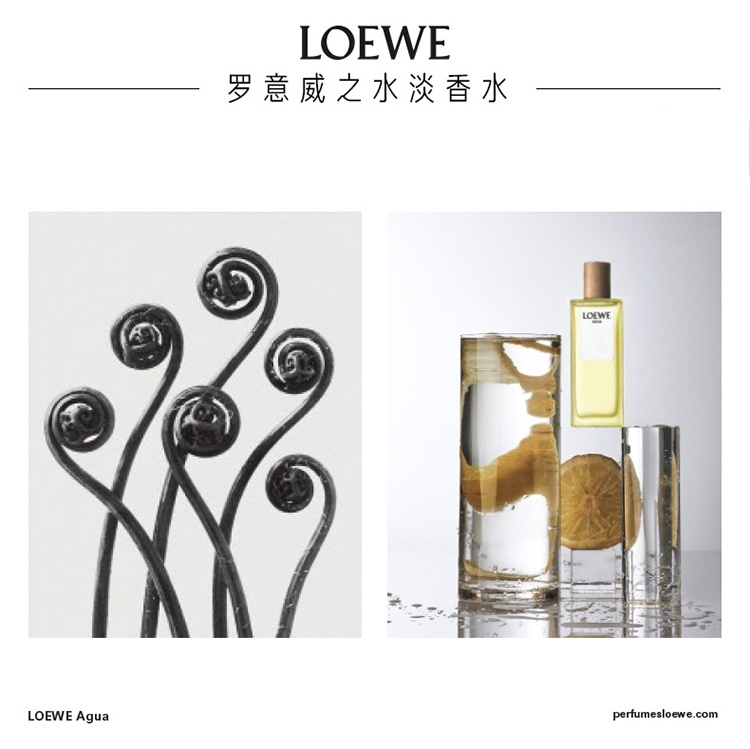 商品Loewe|Loewe罗意威之水彩虹系列男女士香水50-100-150ml EDT淡香水 ,价格¥417,第12张图片详细描述