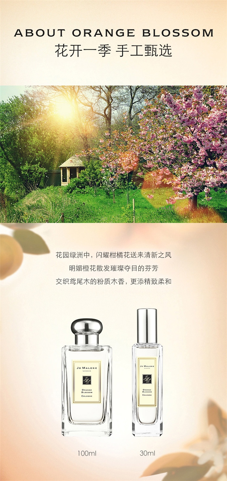 商品Jo Malone London|Jo Malone London祖·玛珑 橙花女士香水30/100mL 法国直邮,价格¥375,第4张图片详细描述