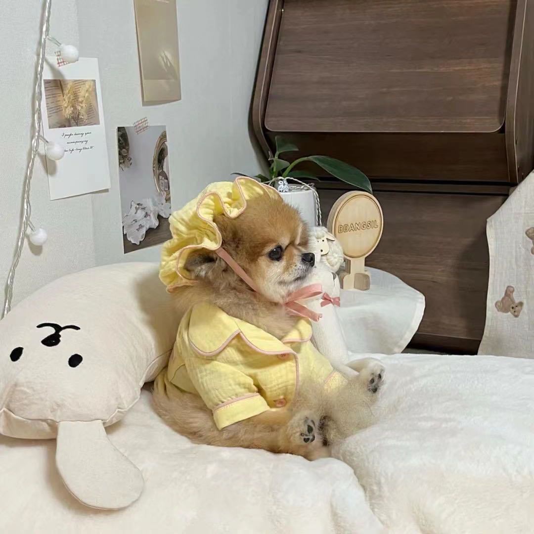 商品[国内直发] Taaffe|豌豆陪睡枕 经典纯色（20色）|Pea Pillow ,价格¥255,第18张图片详细描述