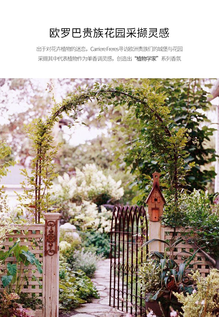 商品Carriere Freres|Carriere Freres 法国植物学家全系列无火藤条香薰200ml,价格¥517,第2张图片详细描述