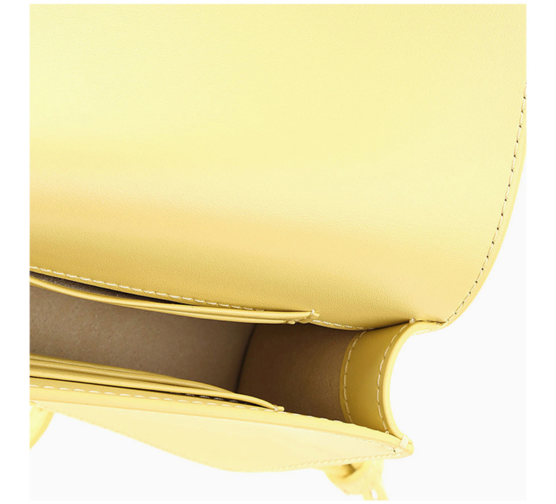 商品PINKO|Pinko 品高 女士黄色燕子单肩包 1P21KR-Y5FFH44,价格¥700,第9张图片详细描述