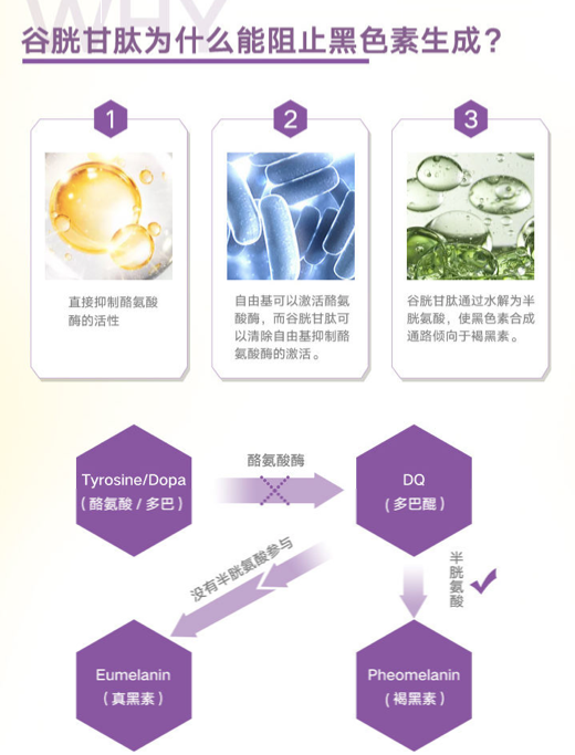 商品GNC|左旋谷胱甘肽胶囊 500mg,价格¥259,第8张图片详细描述