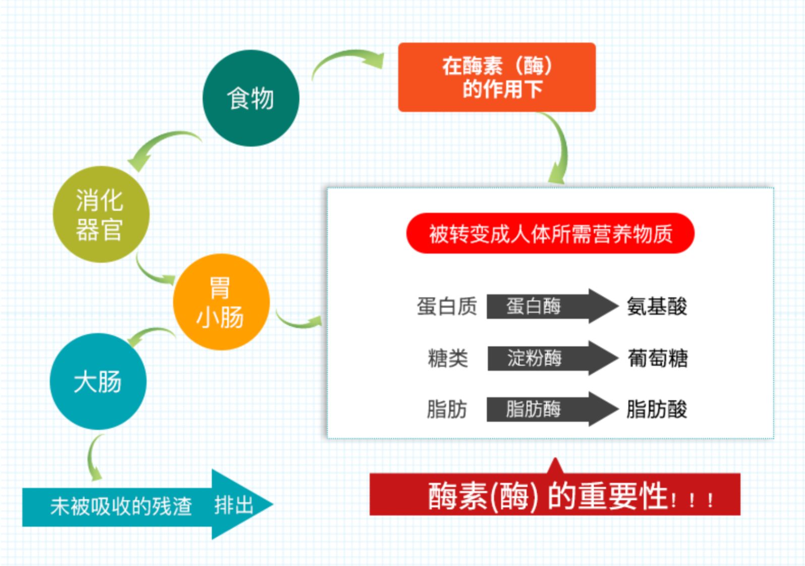 商品Life Extension|【助理消化，调理肠胃】 酵素清肠排宿便毒消化酶植物果蔬孝素梅非粉日本夜间酵素 60粒/瓶,价格¥124,第8张图片详细描述