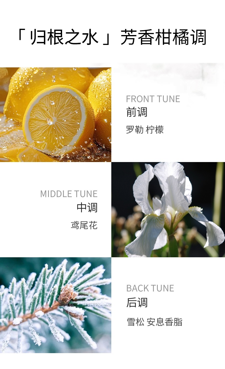 商品Clarins|娇韵诗归根之水香氛喷雾女士淡香EDT 50-100ml 芳香柑橘调,价格¥250,第6张图片详细描述