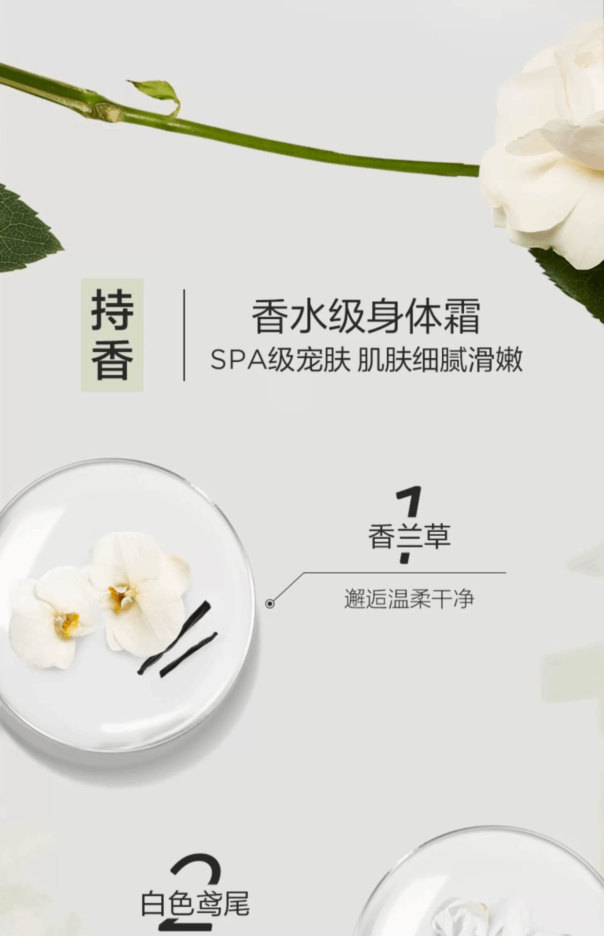 商品Elizabeth Arden|雅顿白茶身体乳香氛缓解干燥保湿滋润身体霜润肤露（384g或400ml随机发货）,价格¥172,第3张图片详细描述