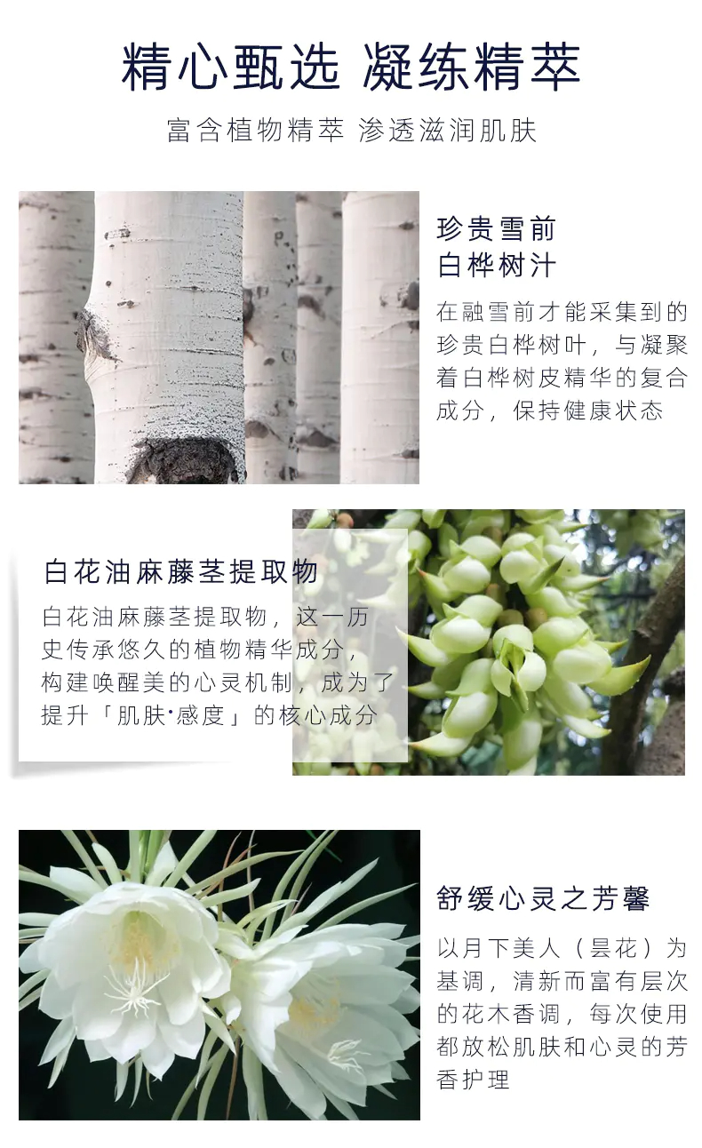 商品DECORTé|黛珂AQ新白檀水乳套装爽肤水补水乳液200ml+乳200ml紧致肌肤提亮抗老 香港直邮,价格¥659,第5张图片详细描述