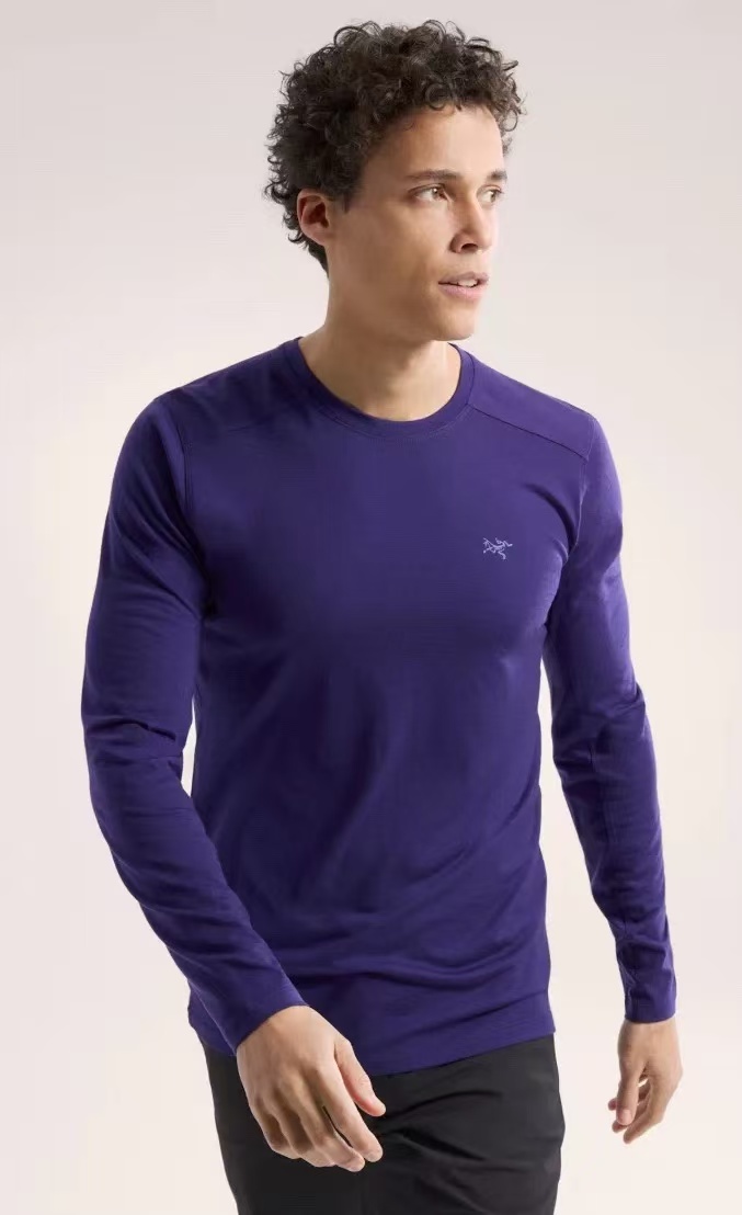 商品Arc'teryx|始祖鸟男款lonia美利奴羊毛长袖衫,价格¥879,第3张图片详细描述