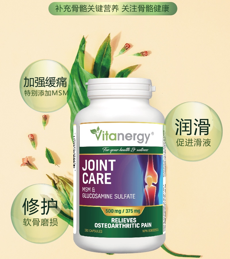 商品[国内直发] Vitanergy|【2025年9月有效期】加拿大维生能氨基葡萄糖MSM中老年关节维骨力180粒/瓶 润滑关节 缓解疼痛 修护软骨 | MSM Joint Formula ,价格¥96,第5张图片详细描述