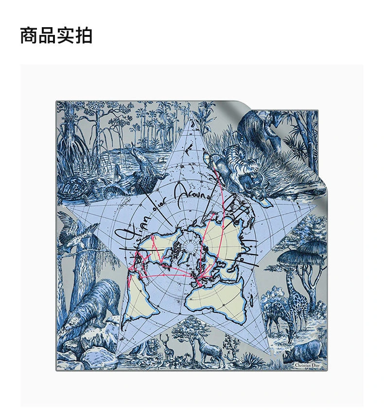 商品Dior|DIOR 女士灰色和蓝色斜纹真丝方巾 15DAW090-I604-C805,价格¥3716,第3张图片详细描述