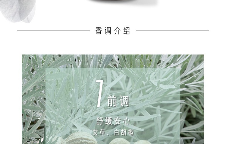 商品BVLGARI|Bvlgari宝格丽茗珍中性古龙水75ml 白茶香调,价格¥680,第5张图片详细描述