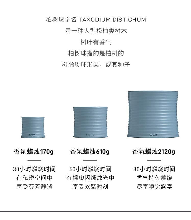 商品Loewe|Loewe罗意威香氛蜡烛170g-610g 全系列,价格¥738,第6张图片详细描述