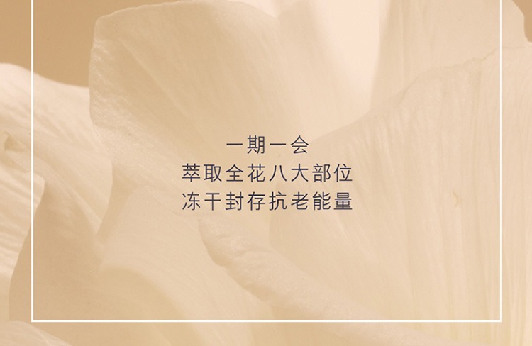 商品Estée Lauder|雅诗兰黛2022小棕瓶限量护肤4件套 胶原霜50ml+精华15ml+眼霜5ml+洁面乳30ml,价格¥675,第7张图片详细描述
