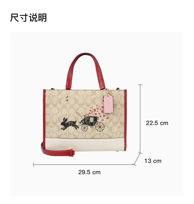 商品Coach|COACH 拼色女士托特包 CE645IMOT4,价格¥1637,第3张图片详细描述