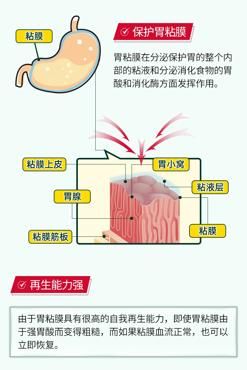 商品kowa|日本KOWA兴和胃药胃仙u胃病药300粒,价格¥233,第5张图片详细描述