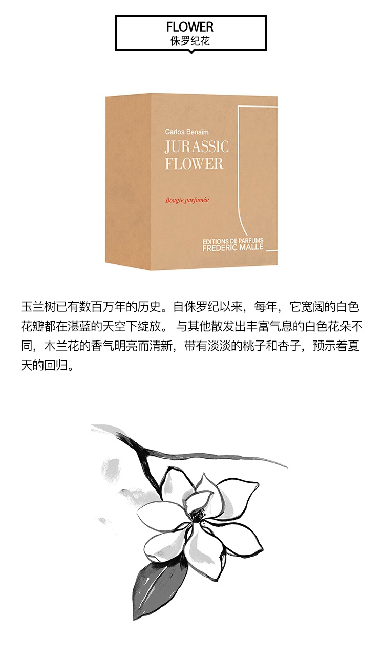 商品Frederic Malle|Frederic mall馥马尔全系列香氛蜡烛220g,价格¥512,第7张图片详细描述
