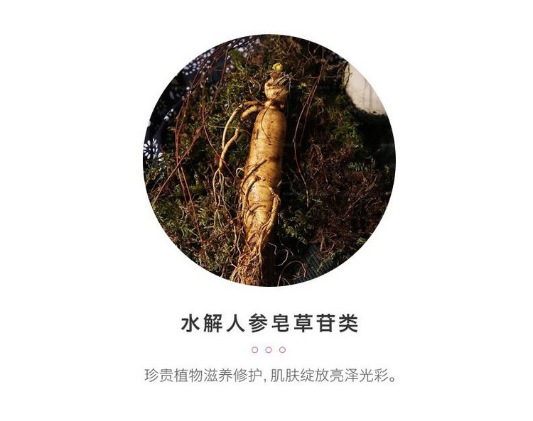 商品Sulwhasoo|Sulwhasoo 雪花秀 滋晶雪肤美白两件套,价格¥551,第4张图片详细描述