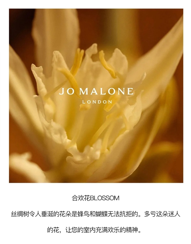 商品Jo Malone London|Jo Malone祖玛珑全系列地中海花园香薰165ml,价格¥689,第3张图片详细描述