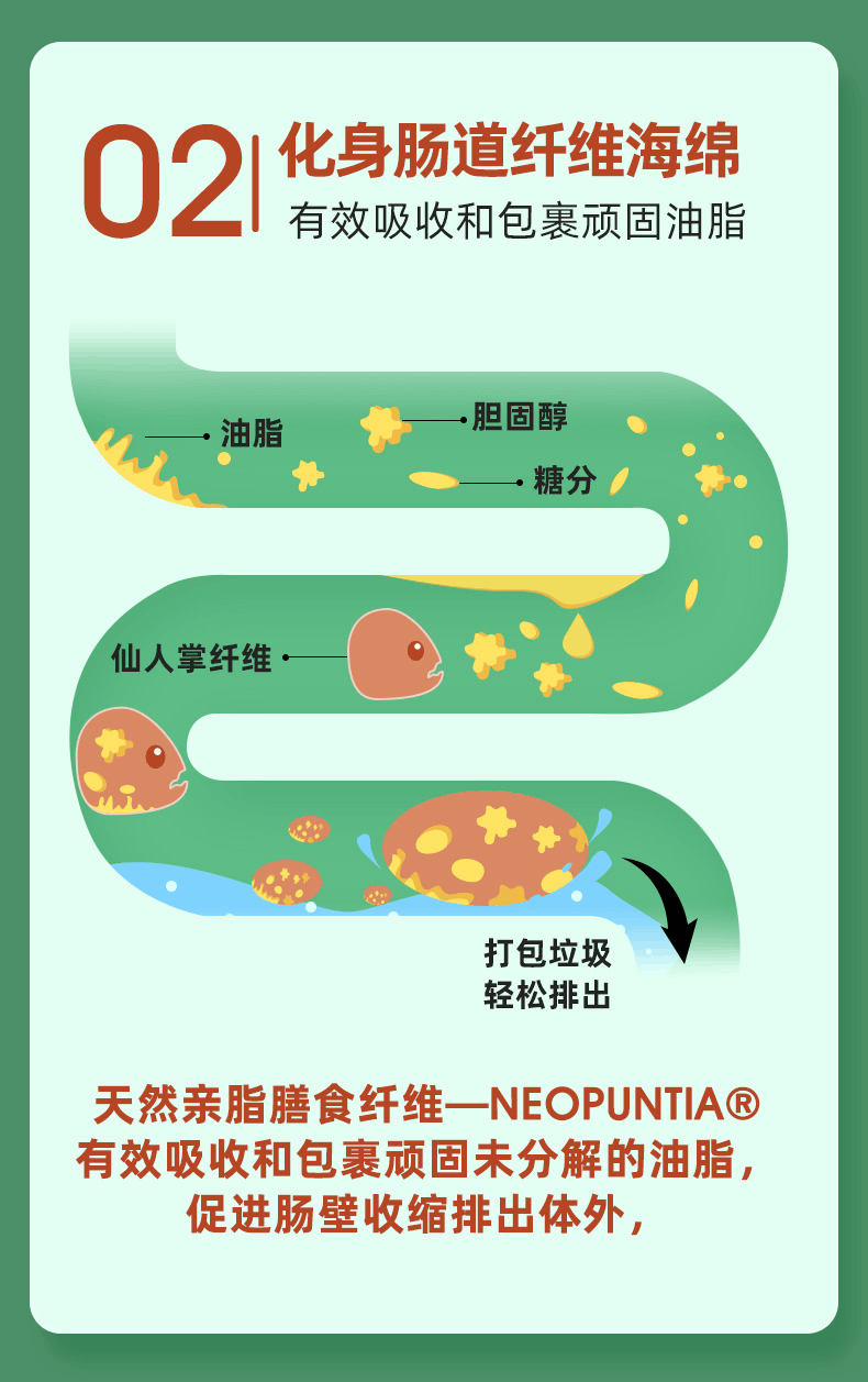 商品Biowell|【国内现货】Biowell润肠片便秘神器排宿便膳食纤维清肠片润肠道90粒,价格¥377,第5张图片详细描述