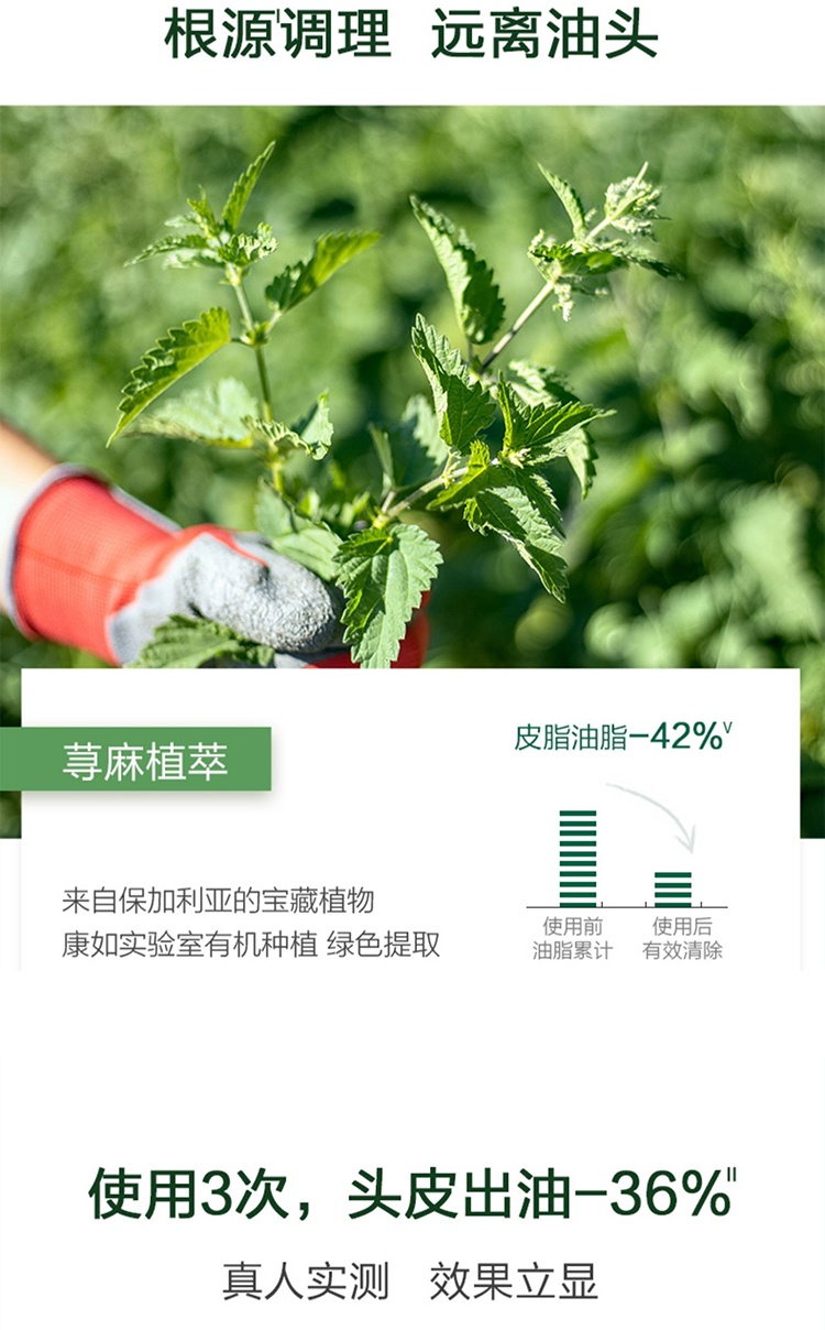 商品KLORANE|Klorane康如荨麻净发粉3gx8包 头皮护理蓬蓬粉根源,价格¥179,第7张图片详细描述