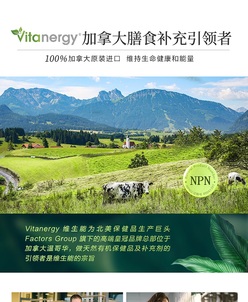 商品[国内直发] Vitanergy|加拿大维生能辅酶Q10胶囊 心脏心脑血管保护 增强免疫力 熬夜血管营养60粒 | Coenzyme Q10 【2024年8月有效期】,价格¥188,第9张图片详细描述