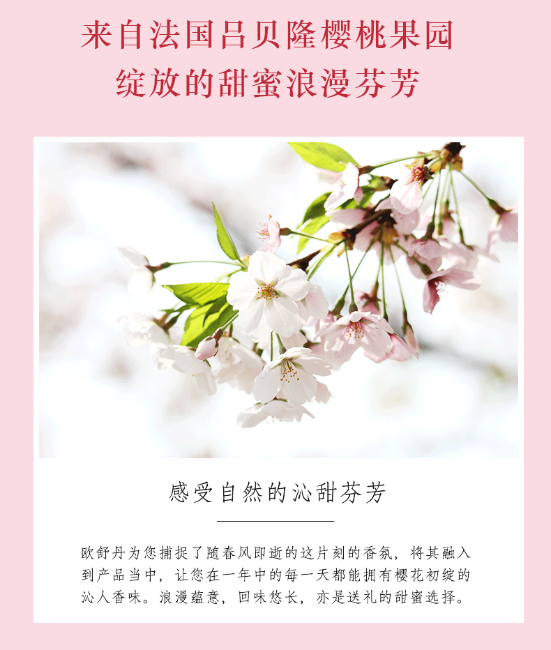 商品L'Occitane|L'occitane欧舒丹沐浴露500ml甜蜜樱花持久留香滋润保湿,价格¥184,第4张图片详细描述