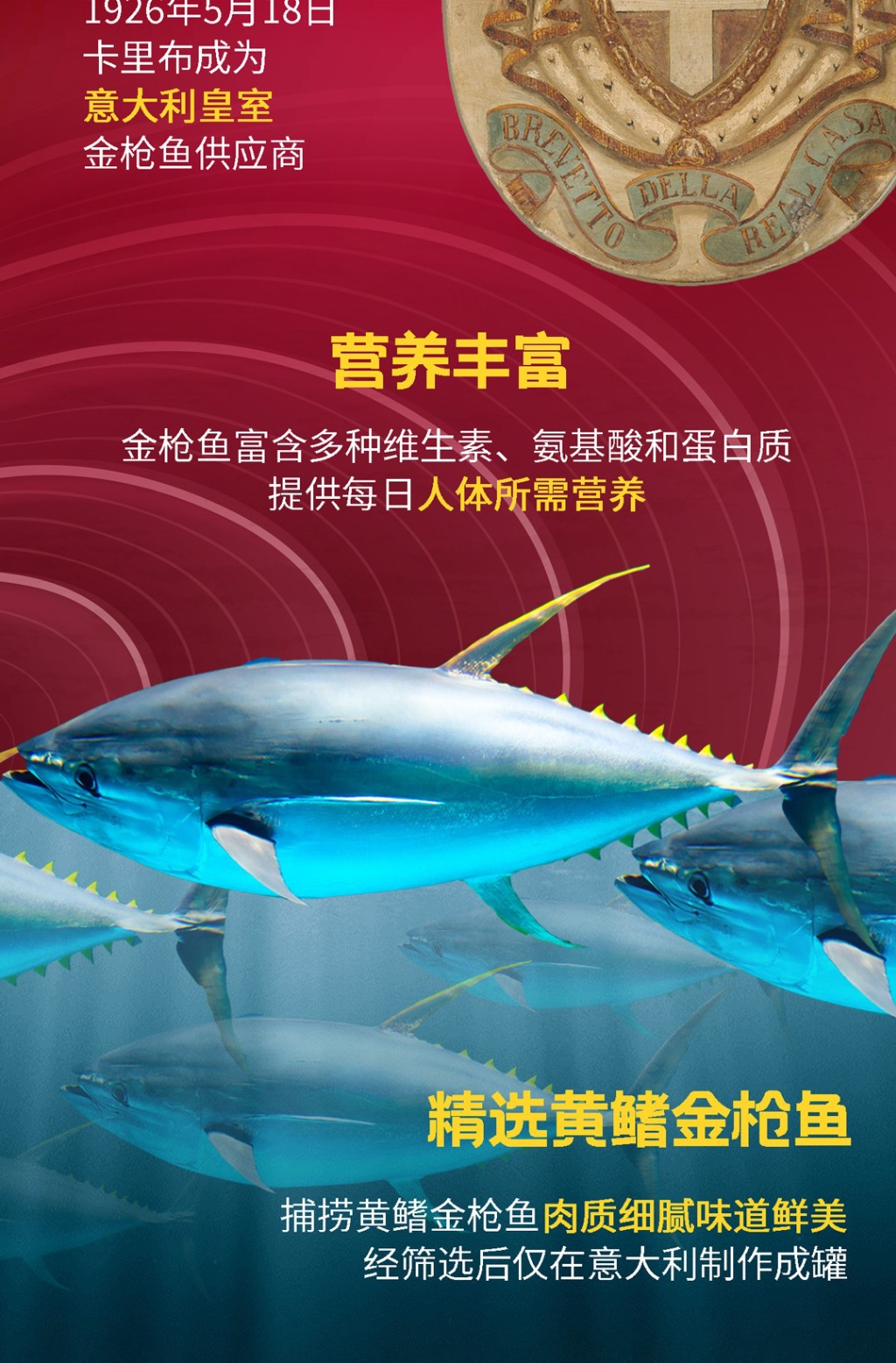 商品[国内直发] CALLIPO|意大利CALLIPO 金枪鱼罐头80g*4,价格¥76,第3张图片详细描述