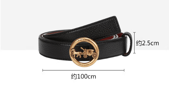 商品[国内直发] Coach|蔻驰腰带女奢侈品皮质马车logo 头皮带配饰 黑色,价格¥622,第1张图片详细描述