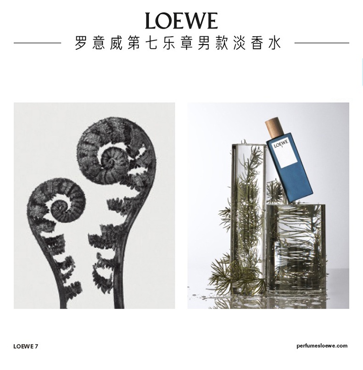 商品Loewe|Loewe罗意威第七乐章男士香水50-100-150ml EDT淡香水 50ML,价格¥438,第4张图片详细描述