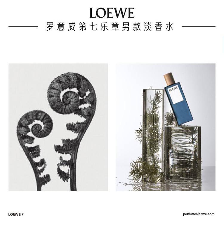 商品Loewe|Loewe罗意威第七乐章男士香水50-100-150ml EDT淡香水 50ML,价格¥489,第2张图片详细描述