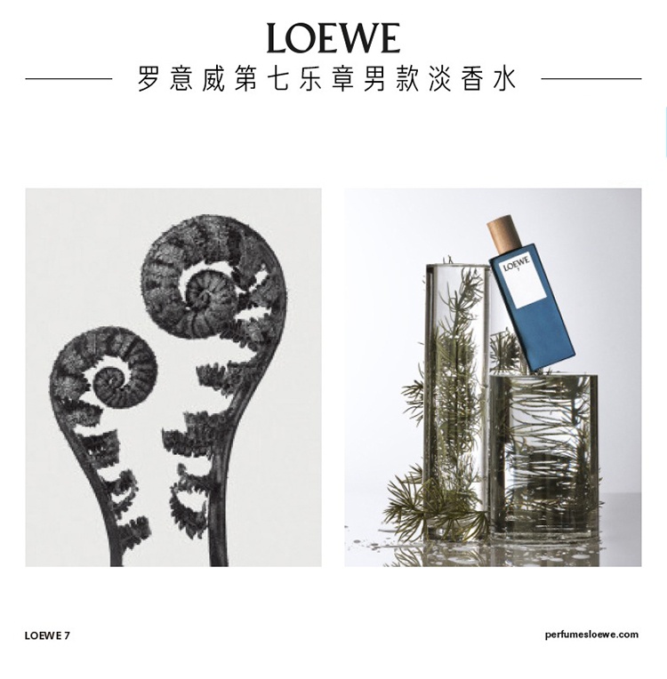 商品Loewe|Loewe罗意威第七乐章男士香水50-100-150ml EDT淡香水 50ML,价格¥499,第2张图片详细描述