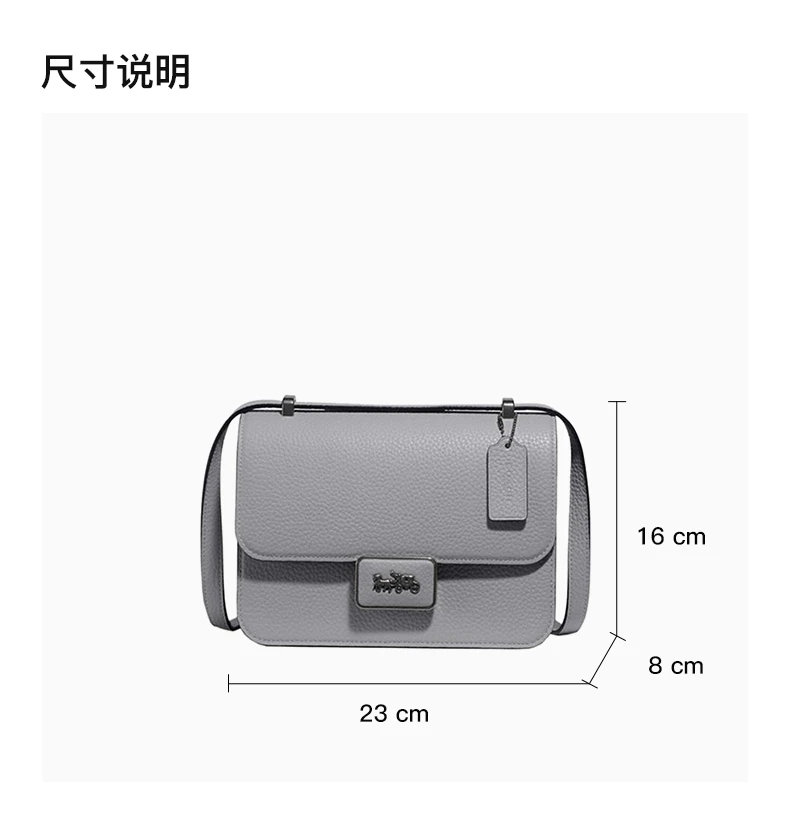 商品[国内直发] Coach|COACH 女士ALIE系列深灰色皮革中号单肩斜挎包 3928V5GRT,价格¥4184,第3张图片详细描述