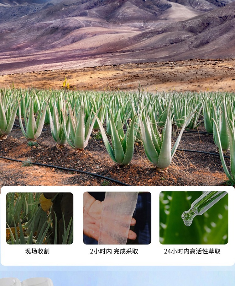 商品Annemarie Borlind|Annemarie Borlind安娜柏林芦荟蜜双萃精华油50ml,价格¥198,第7张图片详细描述