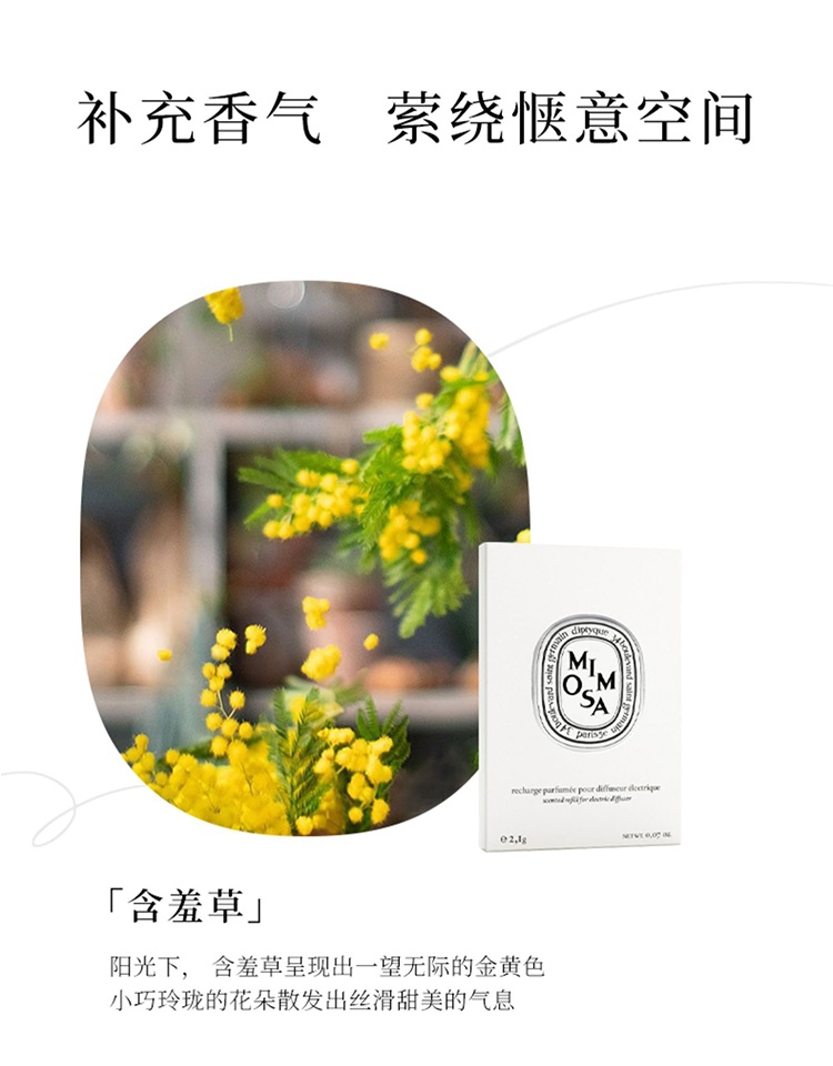 商品Diptyque|Diptyque蒂普提克车载全系列车载香薰 扩香器填充包2.1g,价格¥359,第3张图片详细描述