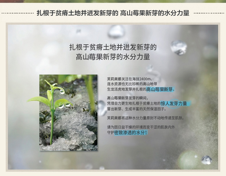商品Primera|芙莉美娜高山莓果水滢集中保湿面霜50ml,价格¥254,第5张图片详细描述