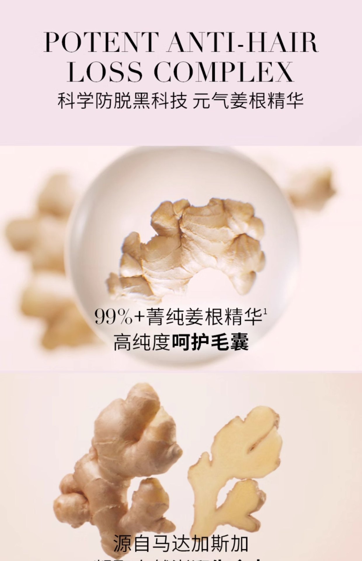 商品Kérastase|Kérastase卡诗 赋源芯丝头皮防脱精华液元气姜精华 90ml 防脱固发舒缓,价格¥213,第7张图片详细描述
