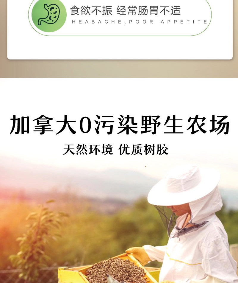 商品[国内直发] Vitanergy| 加拿大Vitanergy维生能蜂胶 食用蜂胶 蜂巢胶囊 调节免疫力免疫力 调经 美容90粒 | Bee Propolis【2024年6月有效期】,价格¥29,第3张图片详细描述