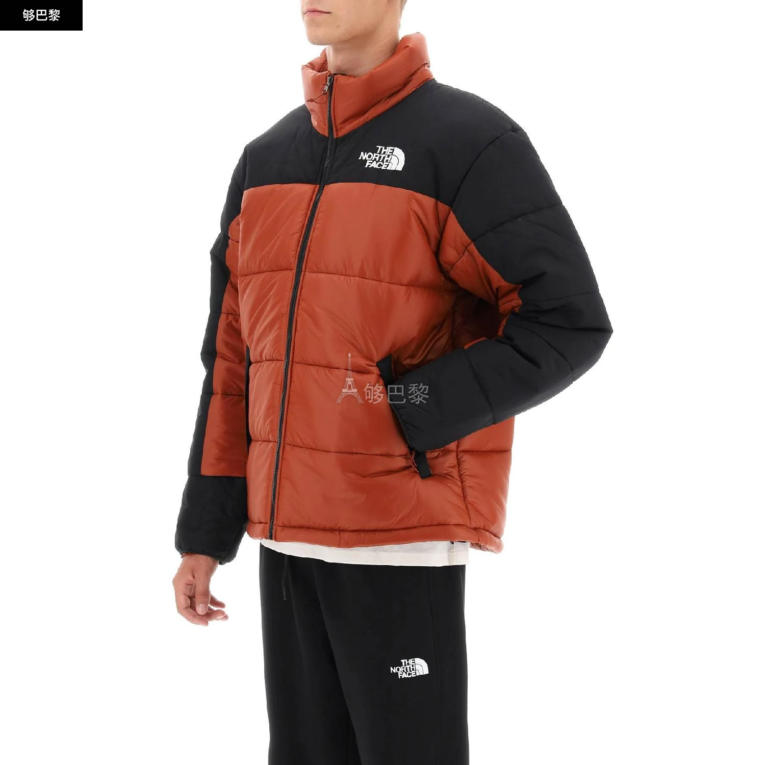 商品The North Face|【特惠4.3折】【预售】 2023秋冬 男士 羽绒服 羽绒服 2385860 NF0A4QYZWEW ,价格¥1405,第6张图片详细描述