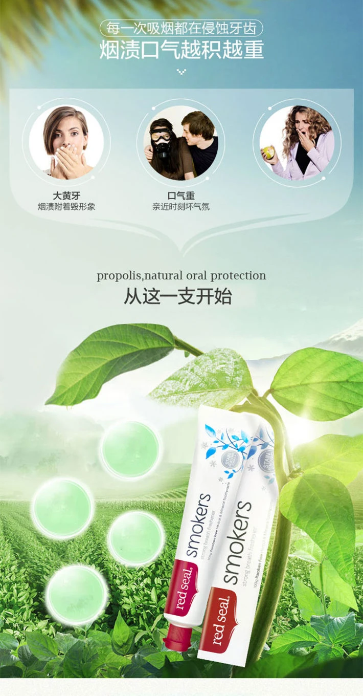 商品[国内直发] RedSeal|RedSeal红印牙膏烟民100g,价格¥29,第3张图片详细描述