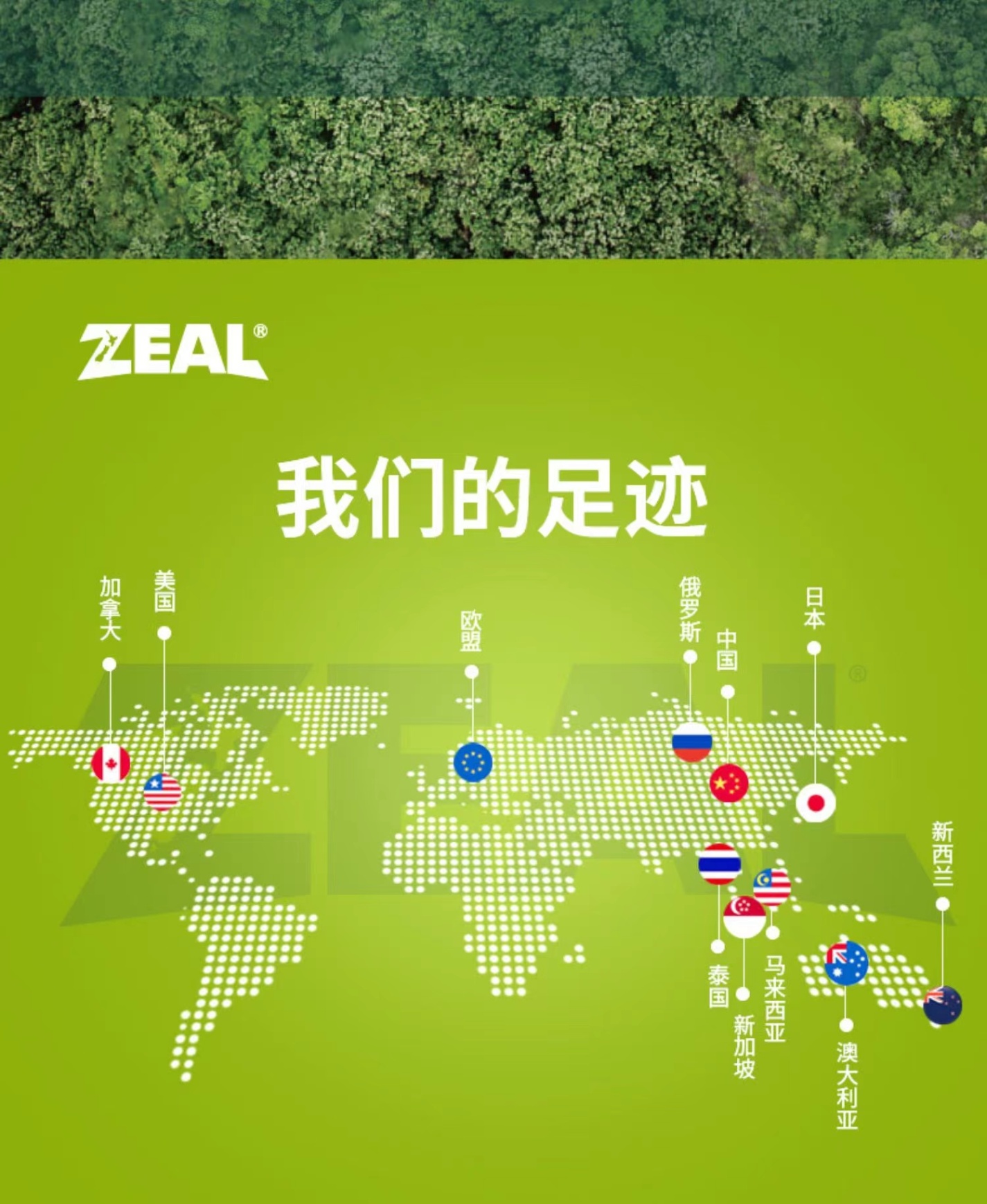 商品[国内直发] Zeal|新西兰全进口风干小牛肋骨排（犬用）150g,价格¥91,第31张图片详细描述